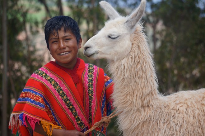 Boy and his Llama