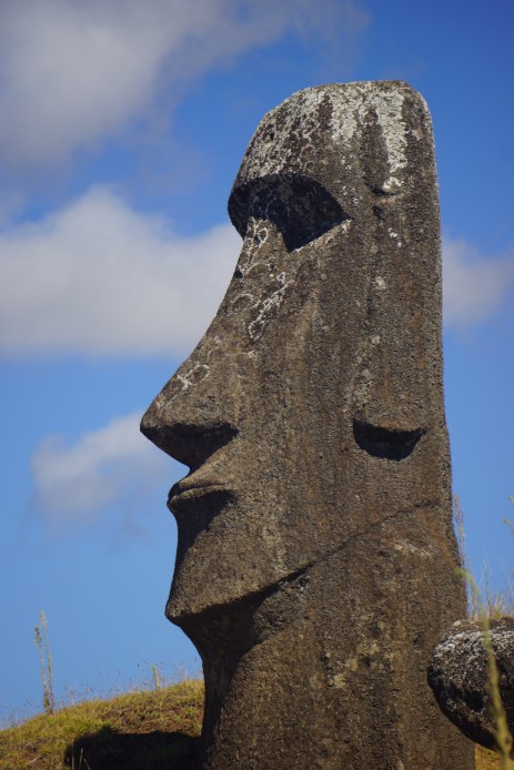 Moai Quarry3