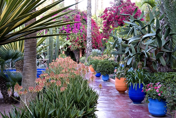 Majorelle Gardens1